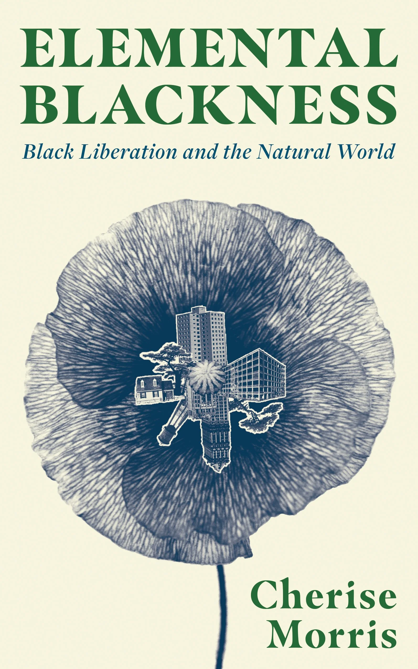 Order Elemental Blackness Today!