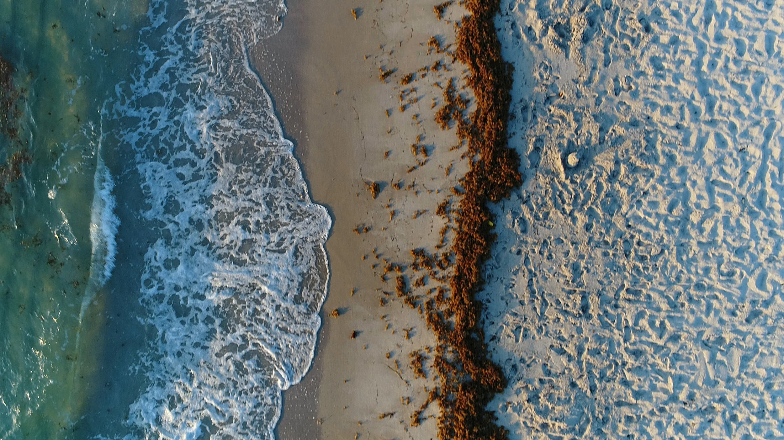 BEACH BACKGROUND.jpg