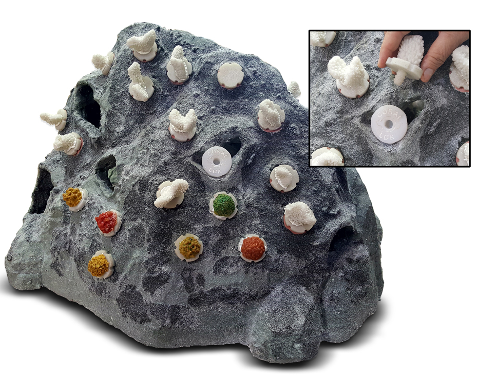 Our Patented “Coral Lok” - Coral Frag Plug Created By Our Reef Building Partner Reef Cells.