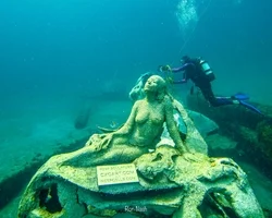 Divers can find mermaids at this new artificial reef near Palm Beach (Palm Beach Post)