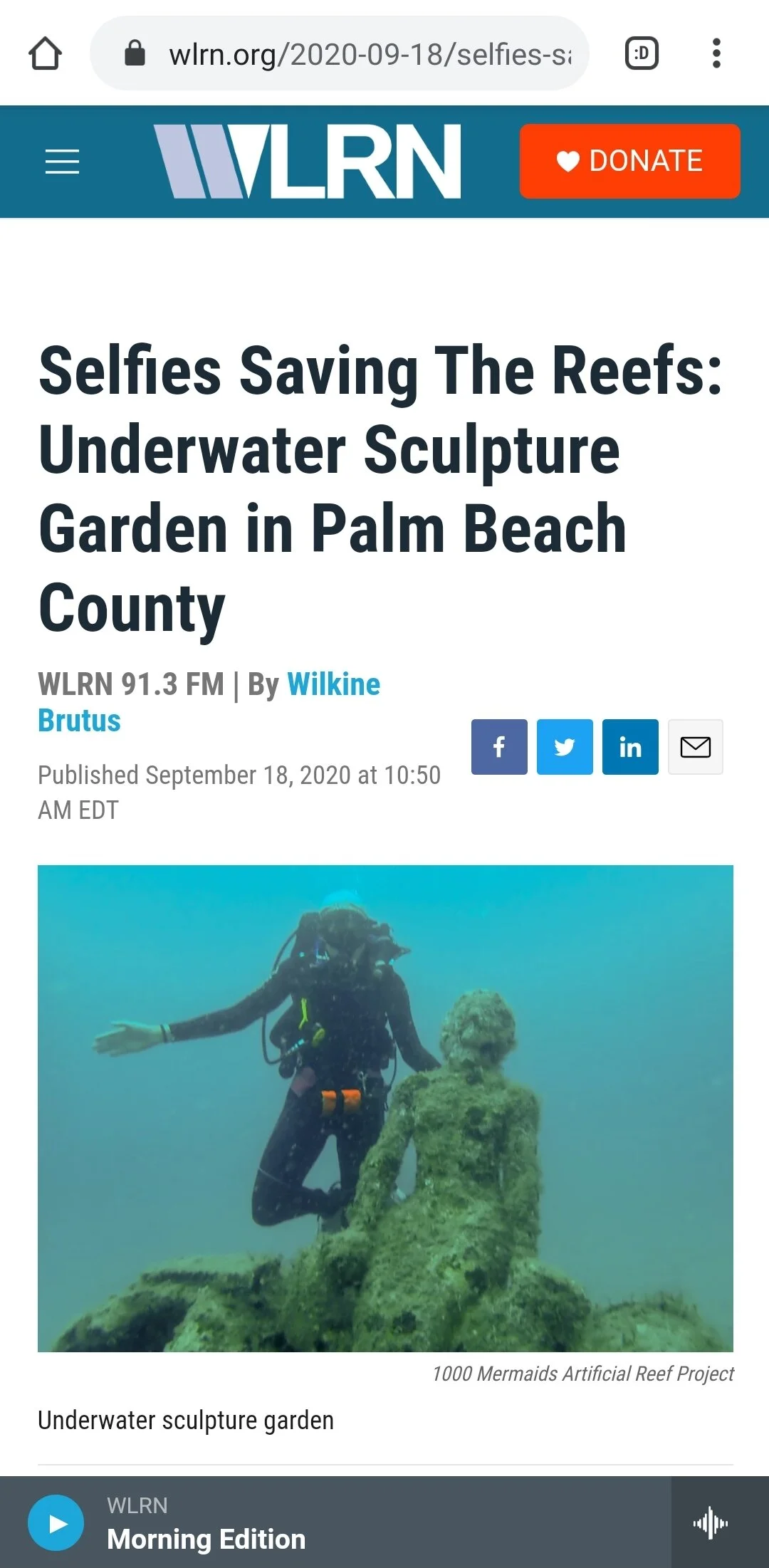 Selfies Saving The Reefs: Underwater Sculpture Garden in Palm Beach County (WLRN/NPR)