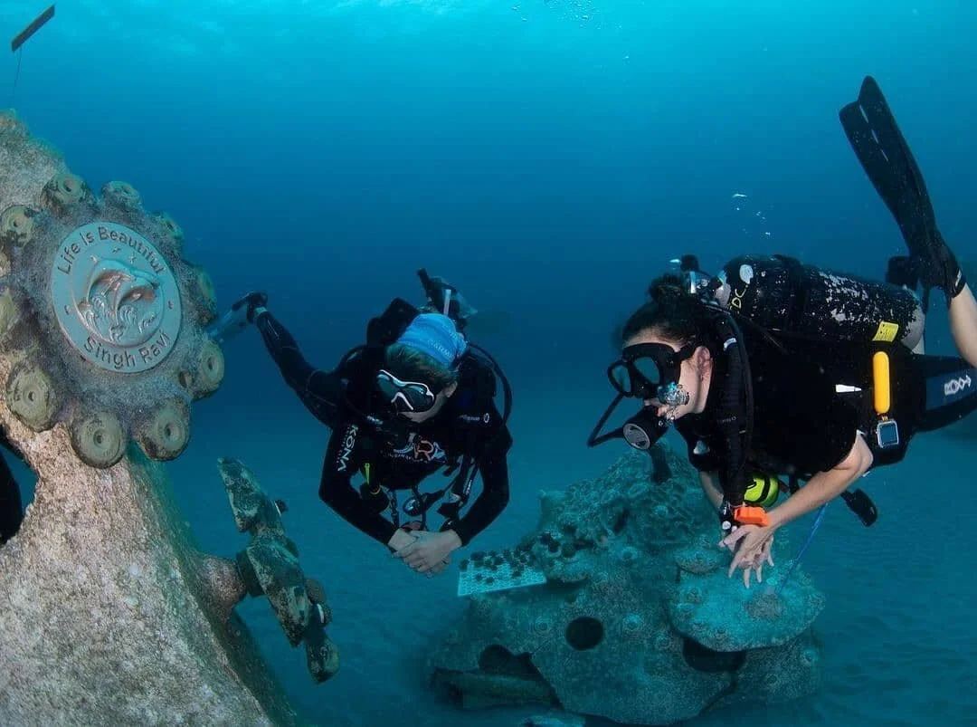 The @OceanRescueAlliance team behind the #1000MermaidsArtificialReefProject is proud to bring you celebratory and memorial reef options that not only contribute to artifical reef creation, but support fish habitats and coral restoration amongst count