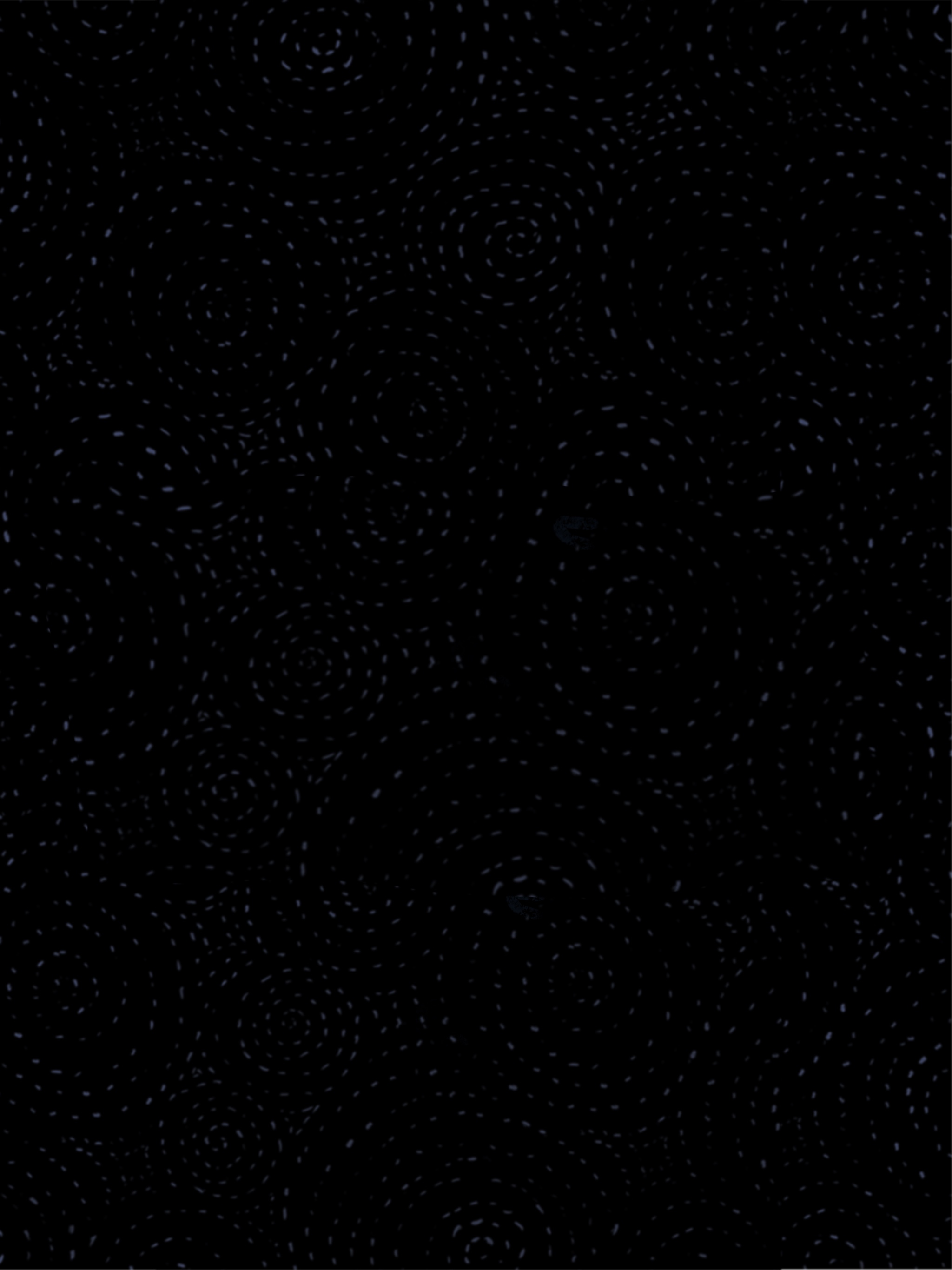 Starry Sky Only.jpg