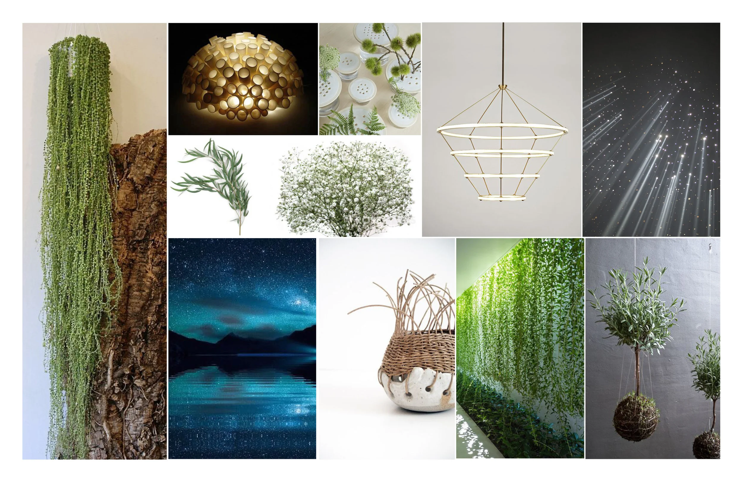 Concept Boards.jpg