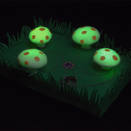 TinyShrooms.png