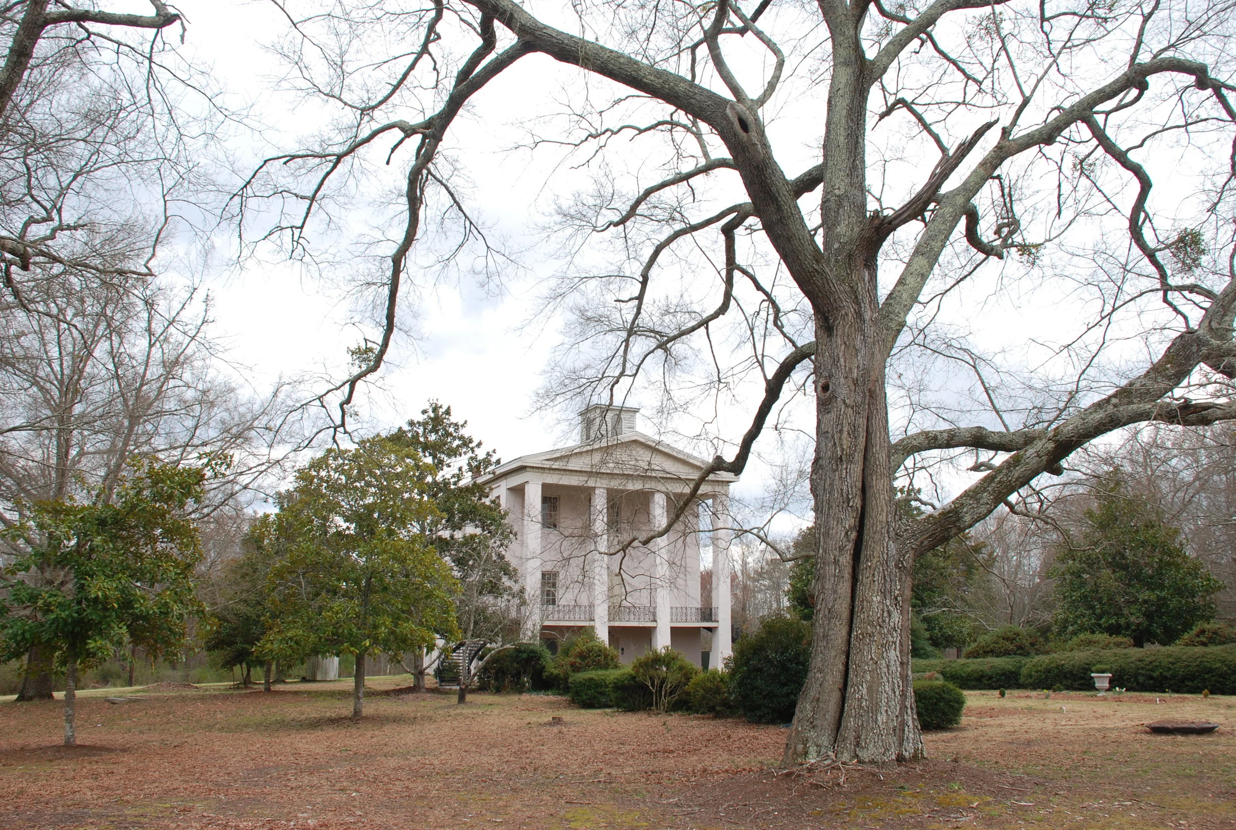 Cokesbury