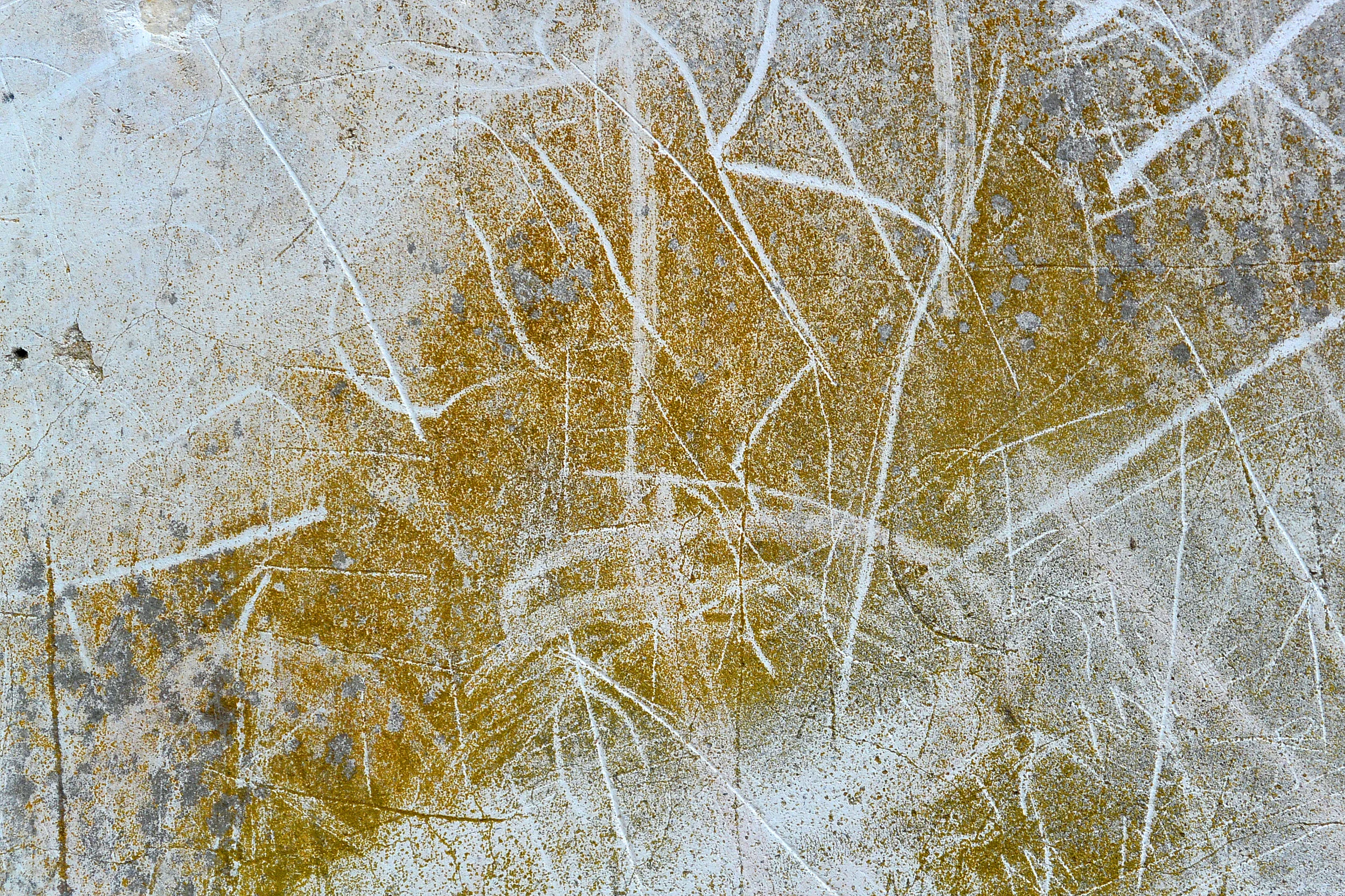 Old Sheldon Church No. 2