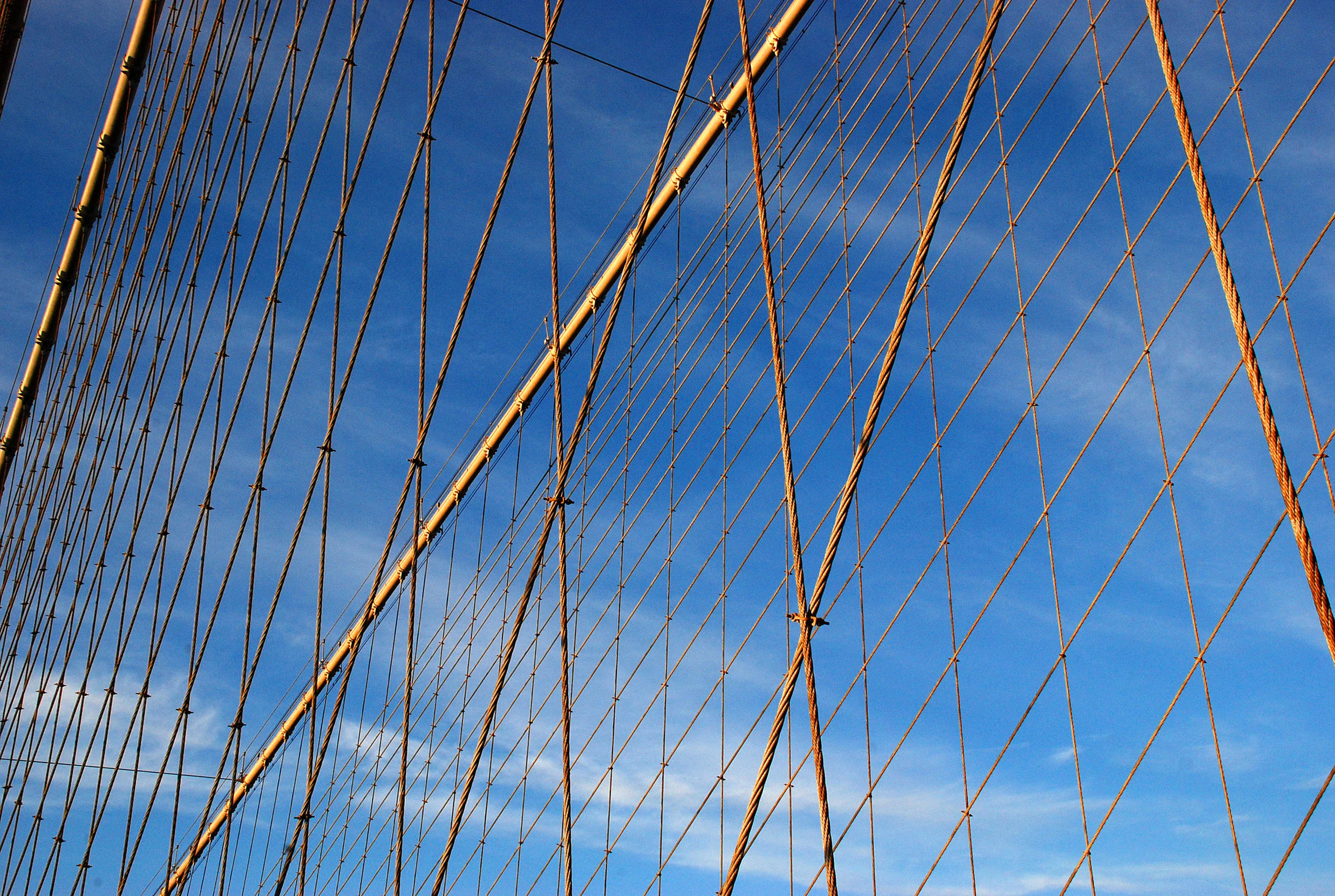 Brooklyn Bridge No. 4