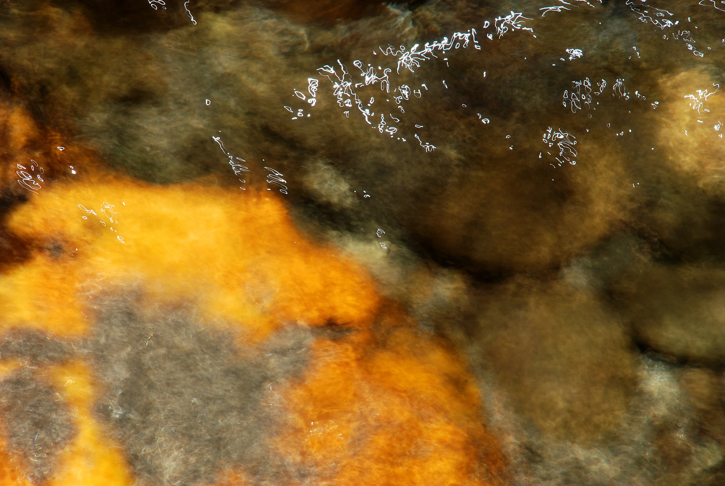 on_upper_deep_creek_fall_2008.jpg