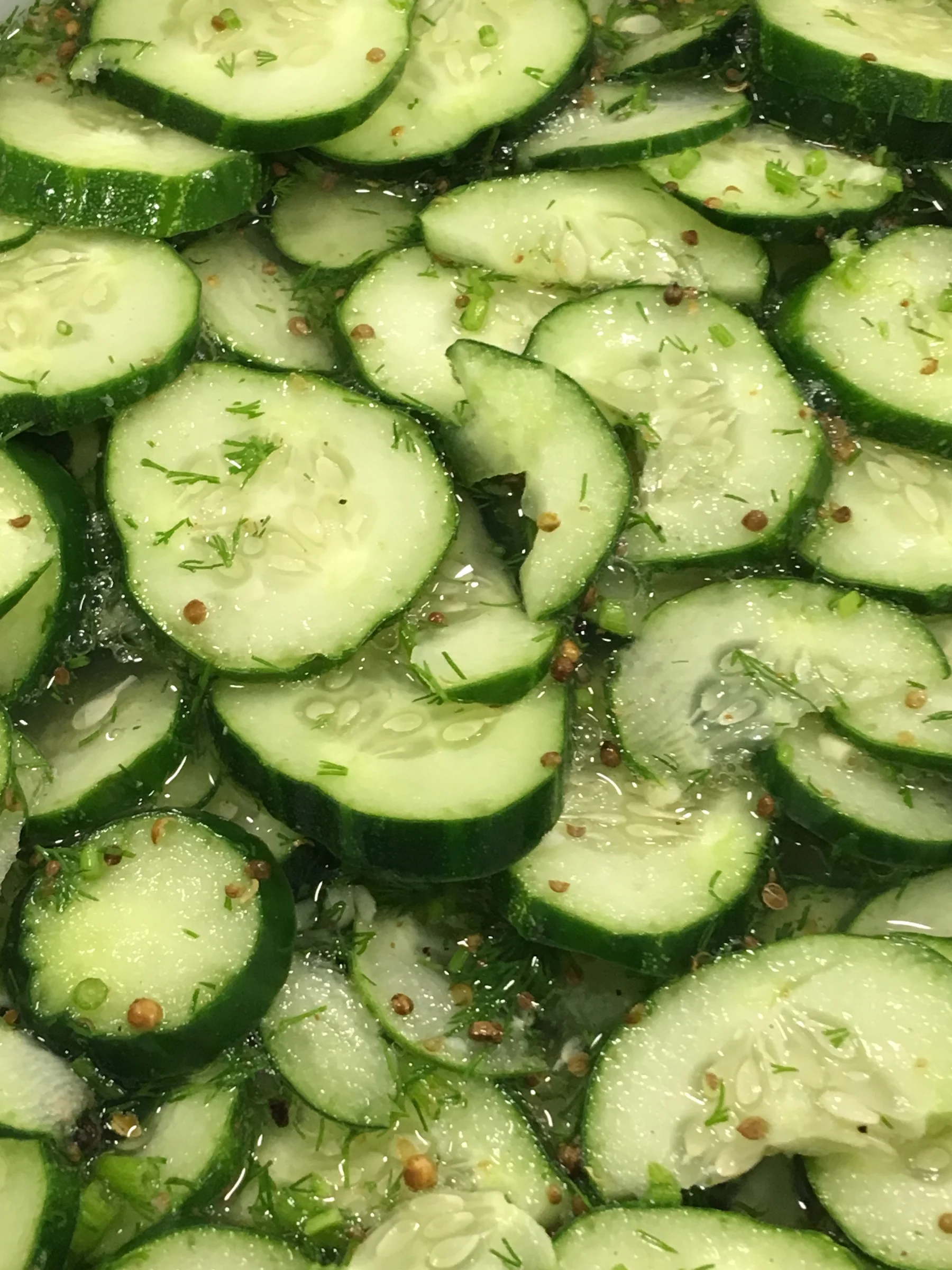 cucumbers.JPG