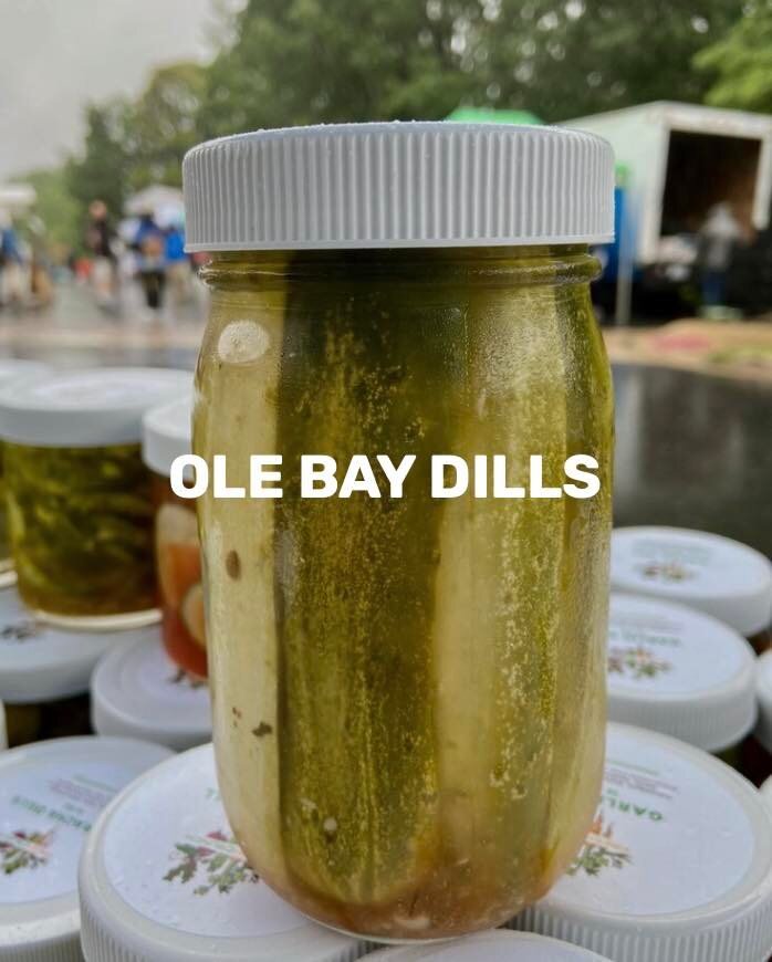 🚨PSA: Ole Bay Dills are back!🚨 Come early this morning to get them- we have limited quantities available and we sell out fast!
.
.
.
.
#portsmouthfarmersmarket #fallschurchva #hamptonroads #freshcrunchfood #williamsburgfarmersmarket #oldtownfarmers