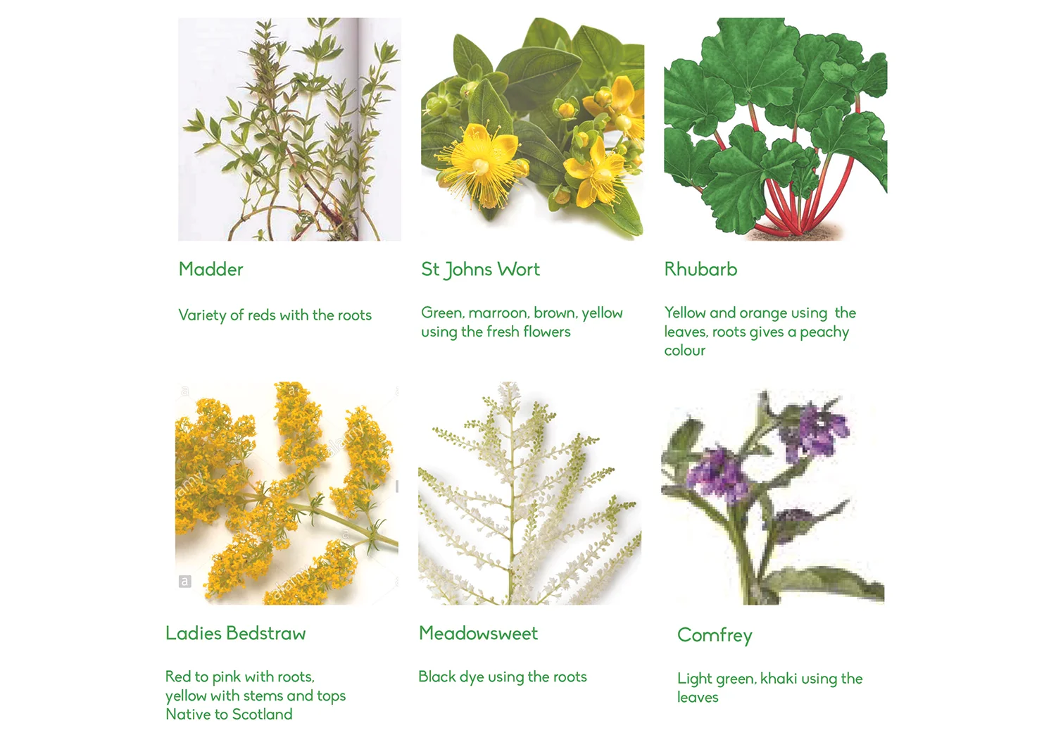 Plant inspiration for the landscaping around the sculpture linking to the textile industry.