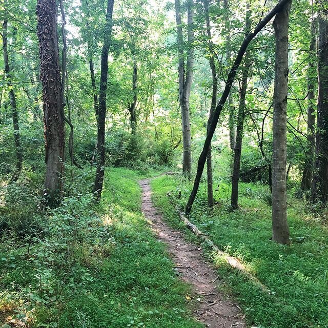 Our lovely West Asheville neighborhood has great access to green spaces! 
#malvernwalk #westasheville #newhomecommunity #wavl #ashevillerealtor #ashevillerealestate #wnc #blueridgemountains #mountainhome #avl