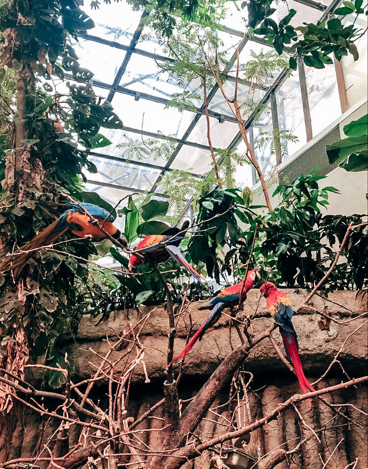  Biodome Montreal 