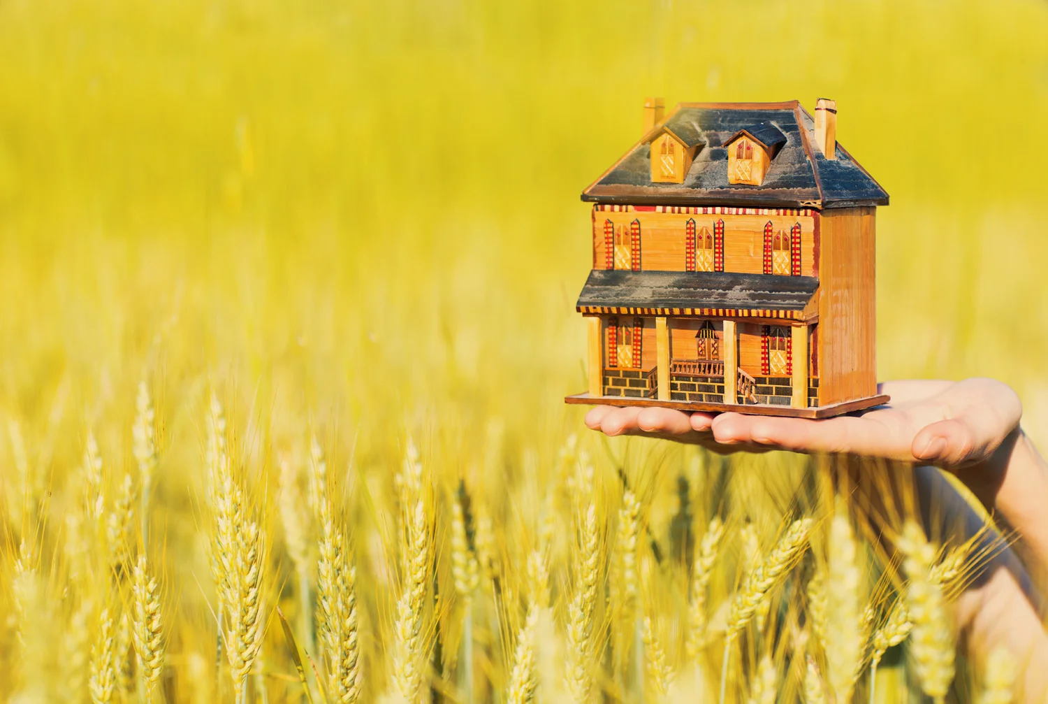 How compensation is determined in an expropriation.