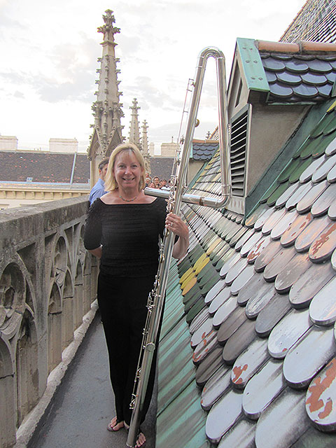 Paige Long on the tile roof of St. Stephen's in Vienna