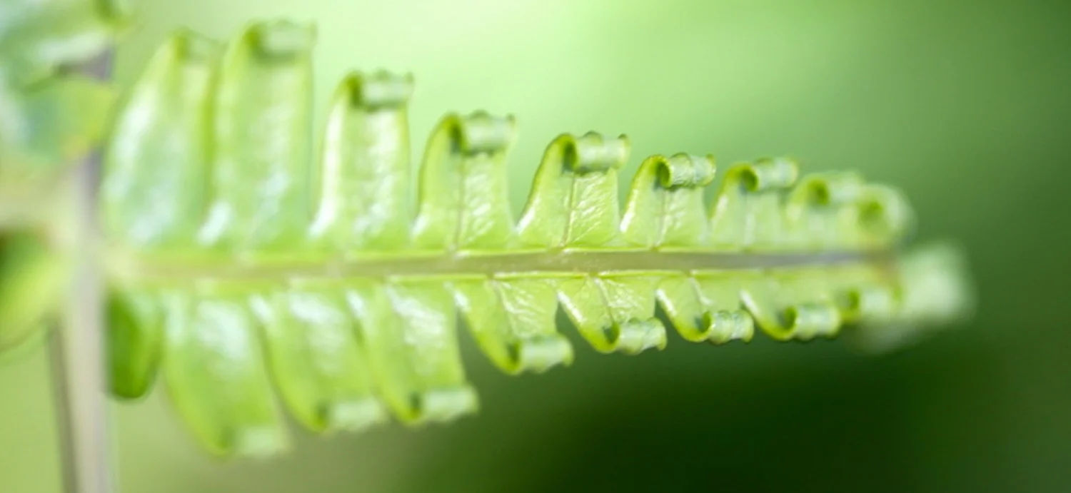 contact-banner.jpg