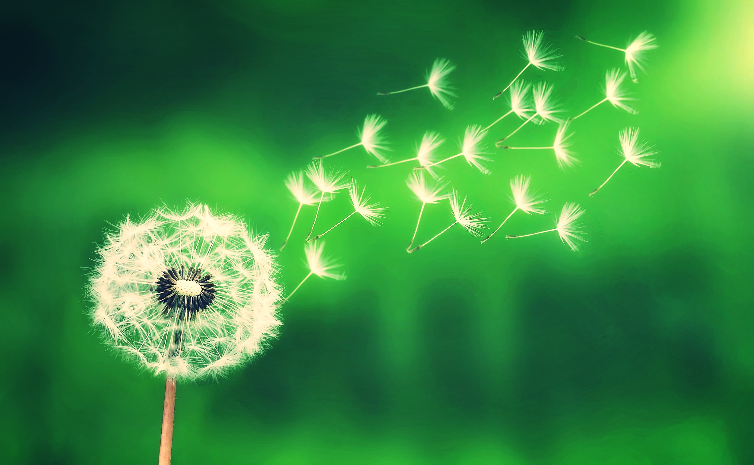 Invite Him In...to Everything