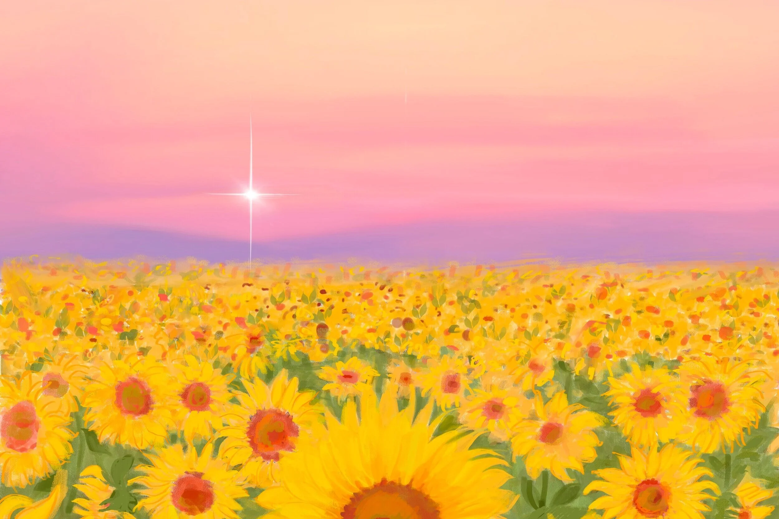 sunflower2.jpg