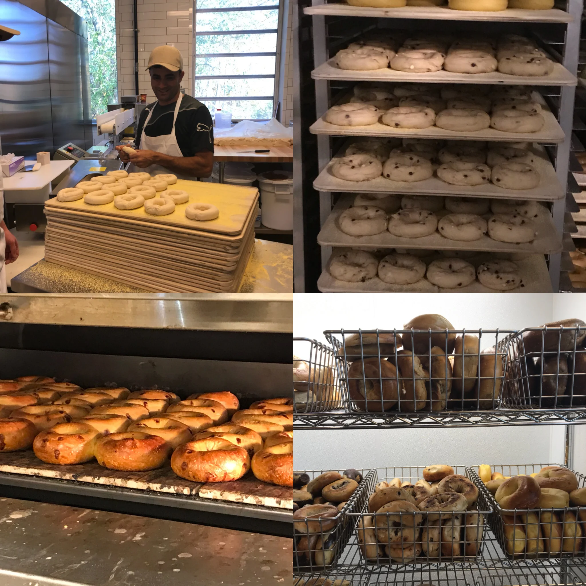 Gallery — Wicked Bagel