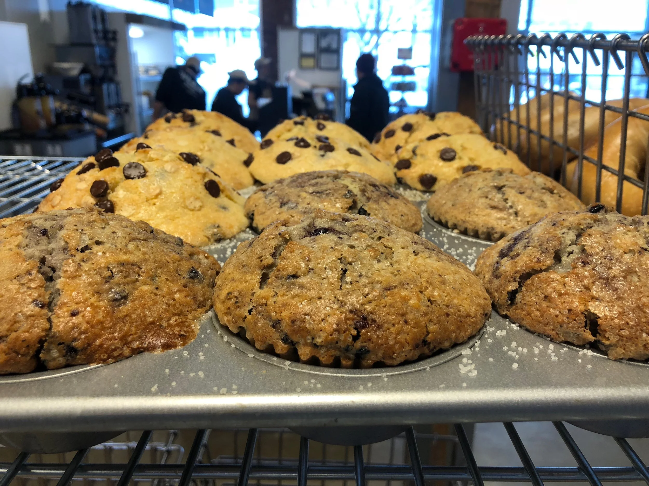 Gallery — Wicked Bagel