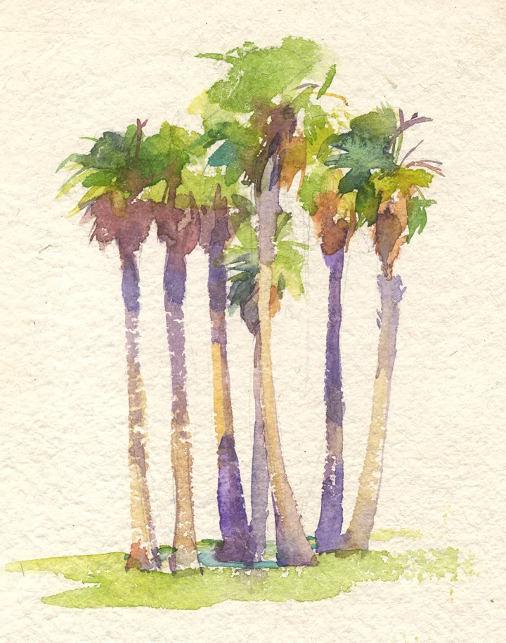 Palmtree - NC.jpg