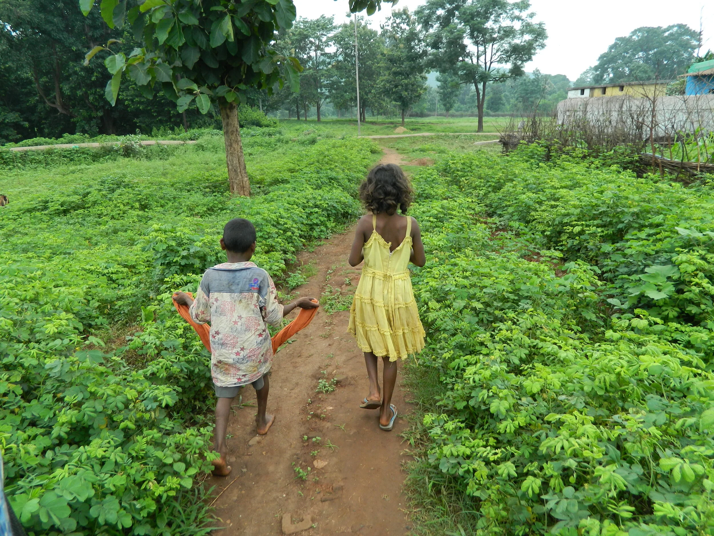  According to the World Health Organization, approximately 800 million people do not have access to basic drinking water service. At least 2 billion people use a drinking water source contaminated by feces. 