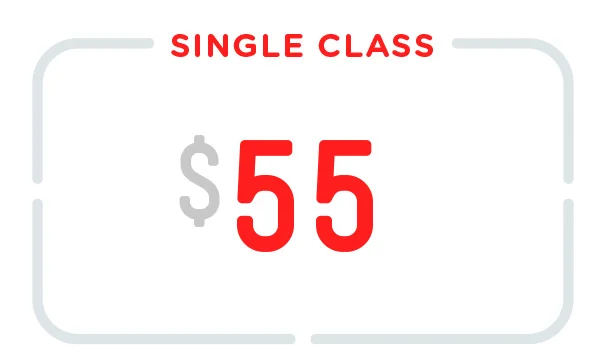price01.jpg