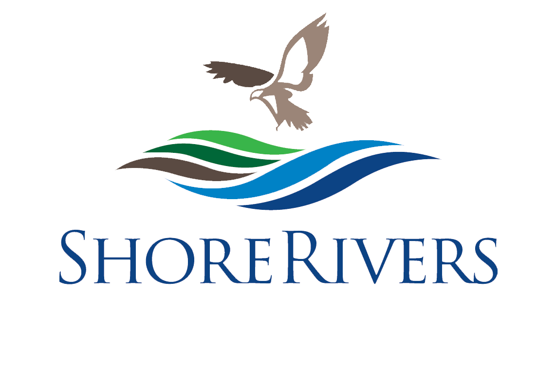 ShoreRivers