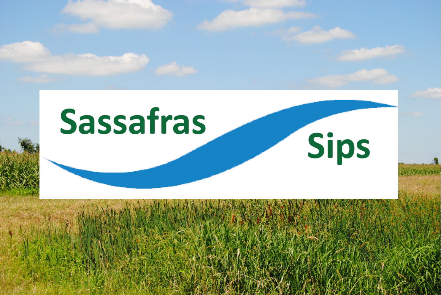 Sassafras Sips.png