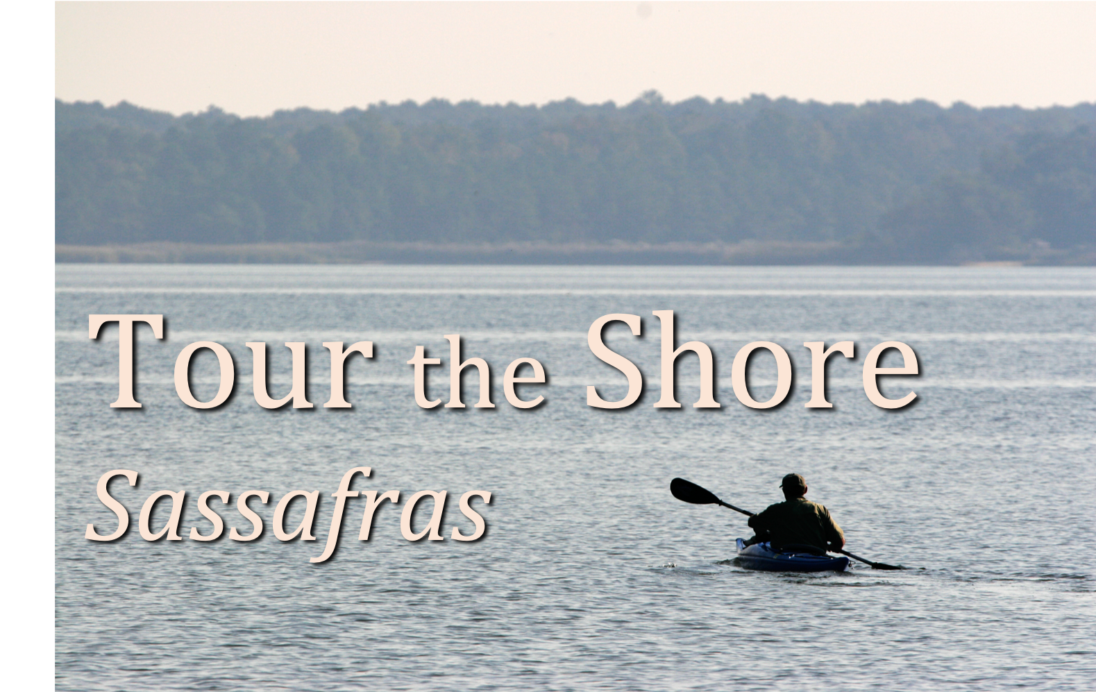 Sassafras Title.png