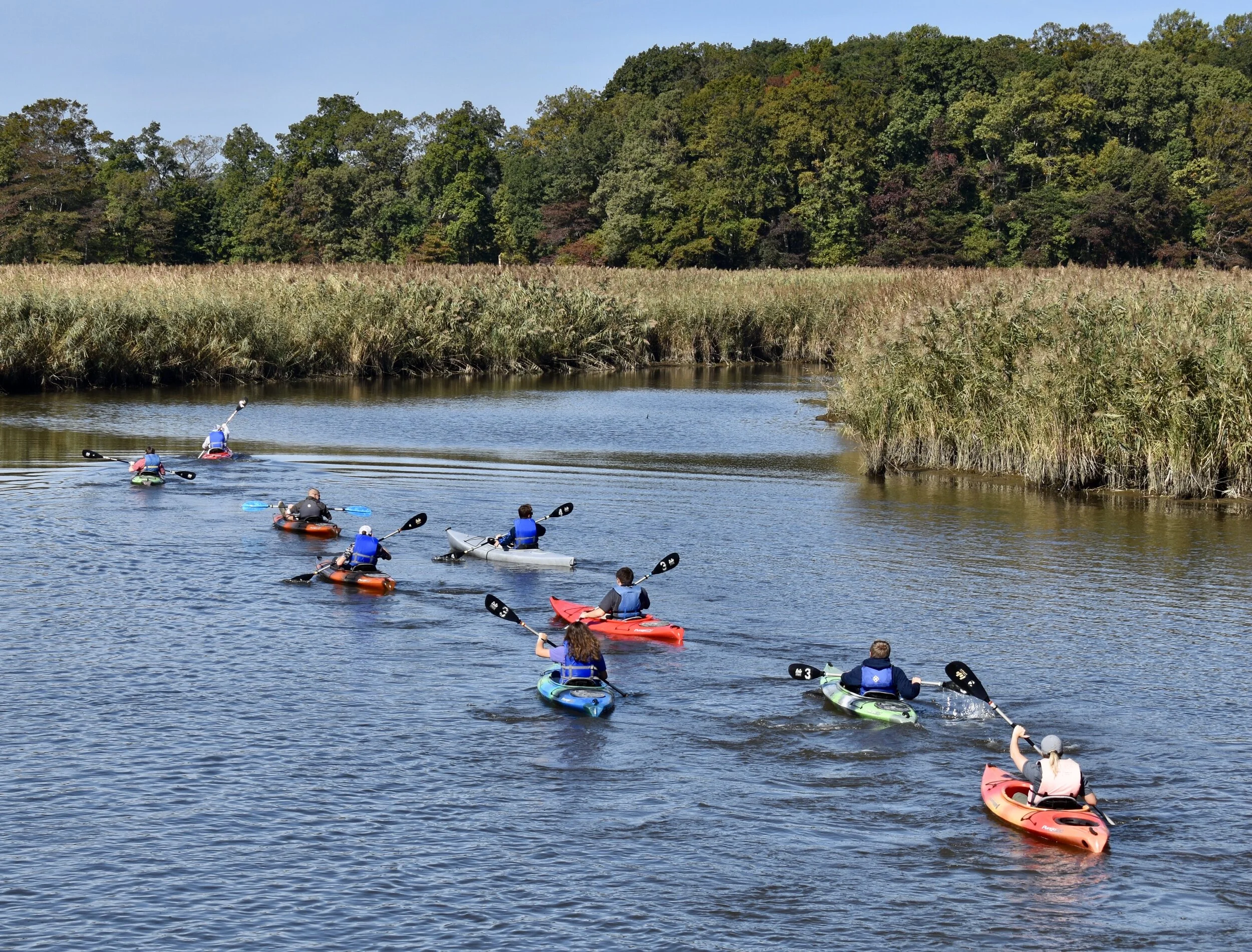 Radcliffe Creek.jpeg