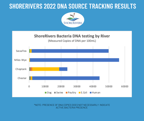 ShoreRivers uses DNA Tracking to Identify Bacteria Pollution Sources ...
