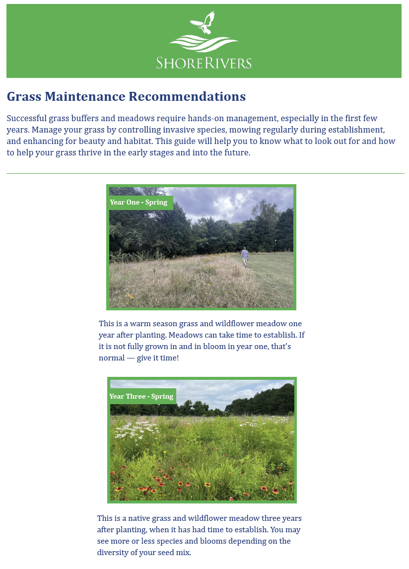 Grass Maintenance Recommendations
