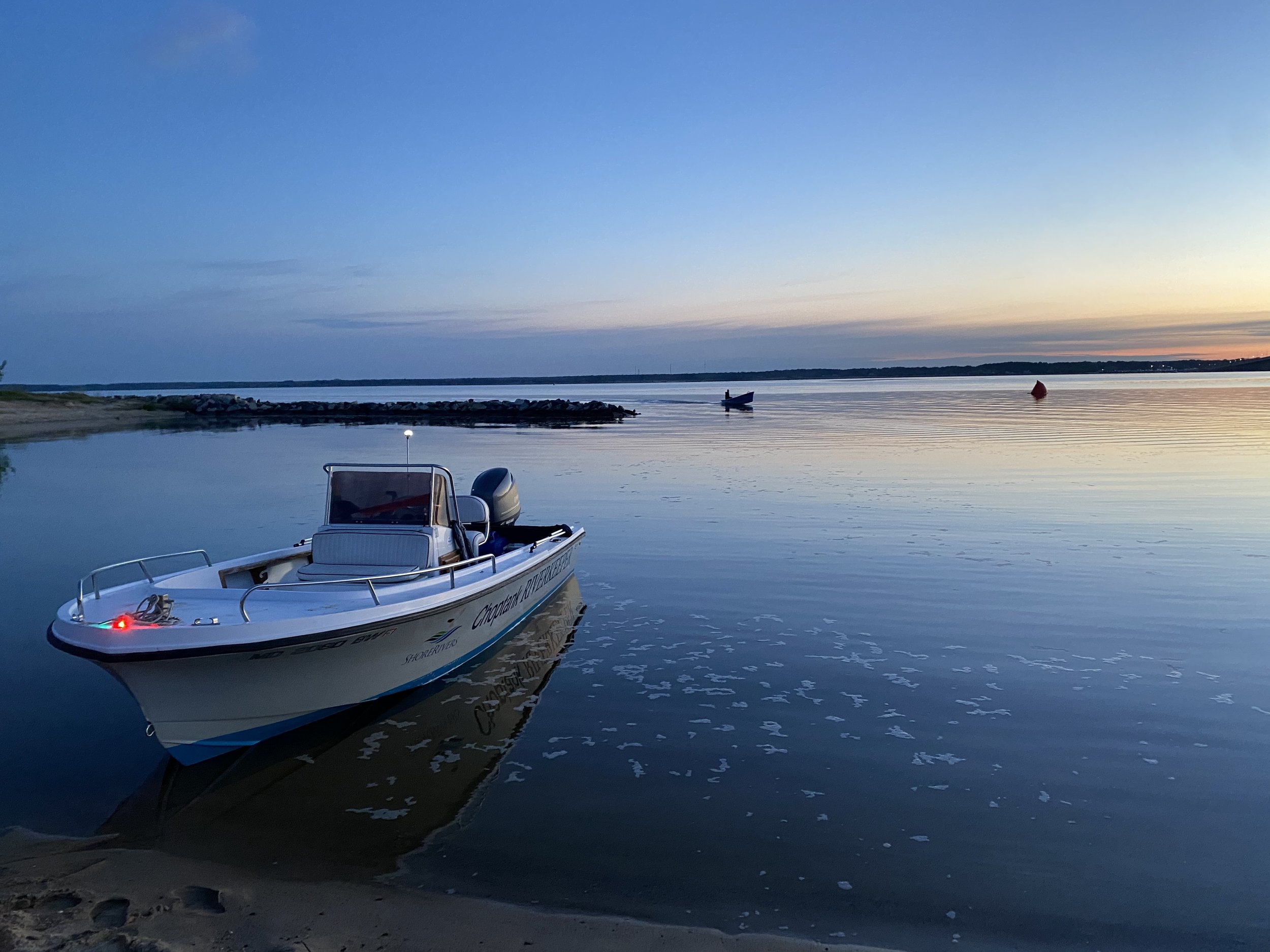 MD Freedom Swim 2021.jpg