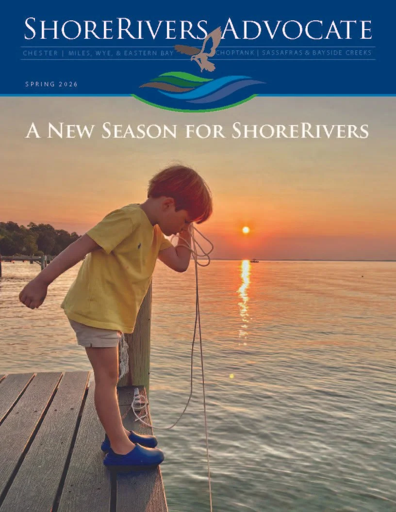 Advocate Newsletter Spring 2026