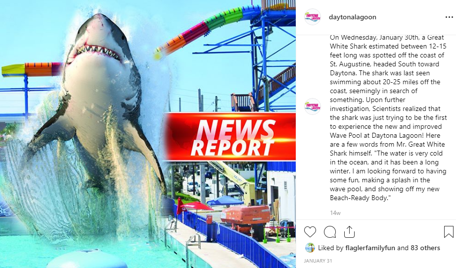 viral shark.png