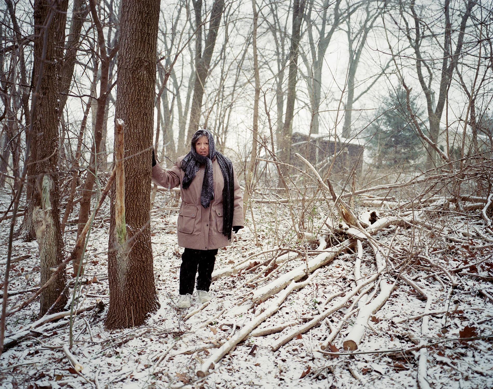 @Nicole_Lloyd-Fran-in-Snow-2.jpg