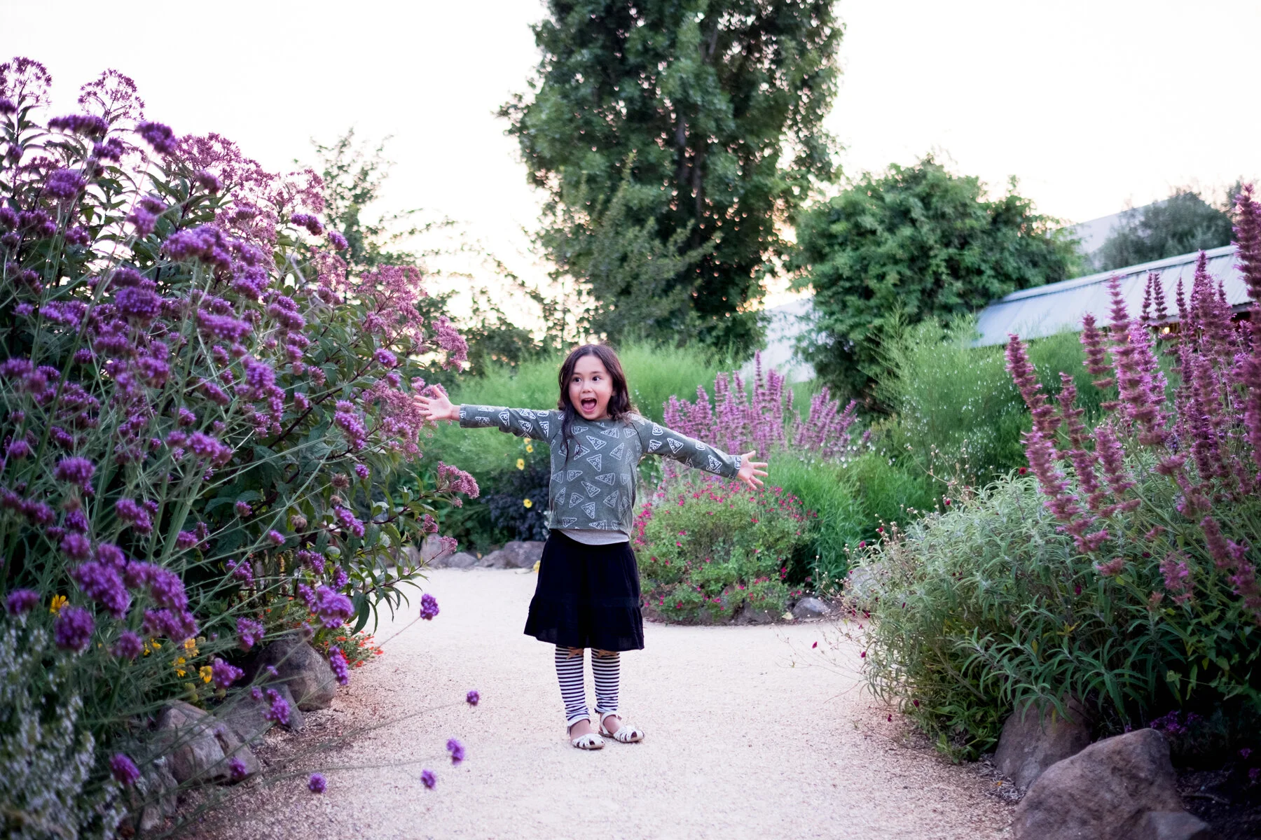 Sonoma-Family-_DSF496649662019.jpg