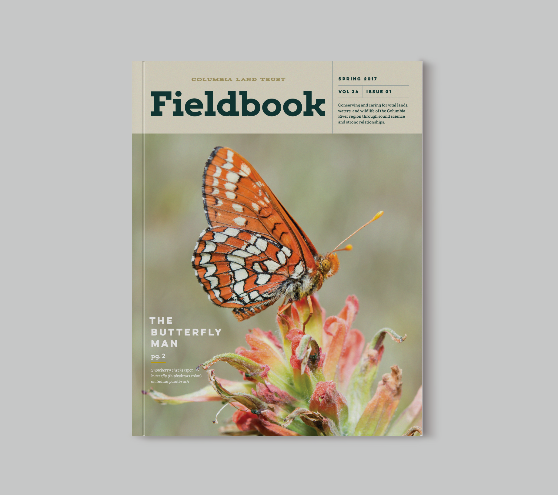 butterfyly_cover.png