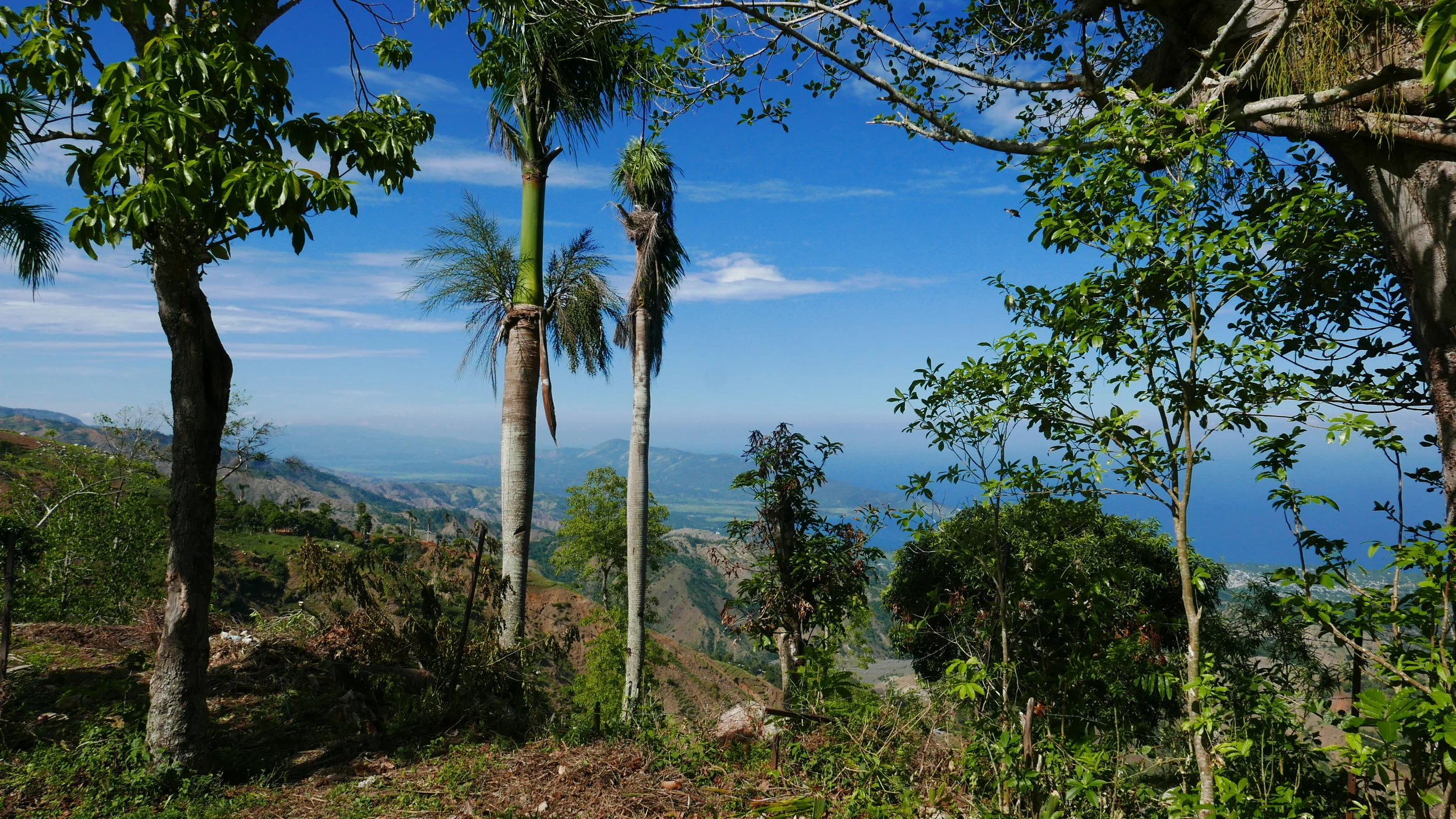 View from Vallue, Haiti.