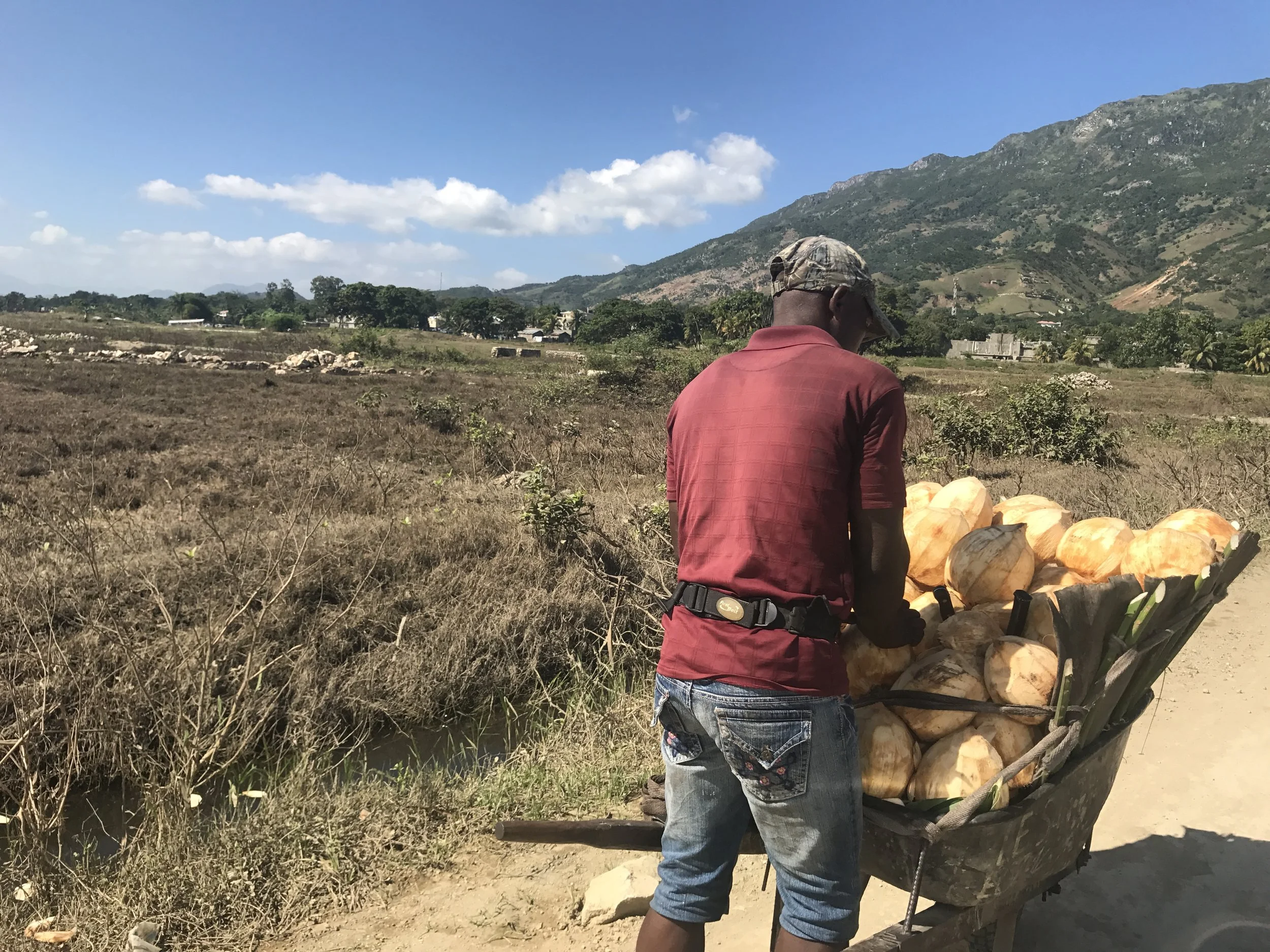 Buying a coconut from a local farmer.