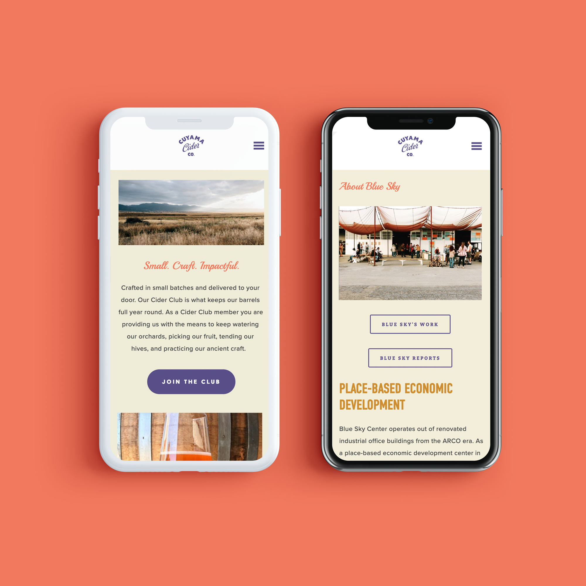 Squarespace Customization