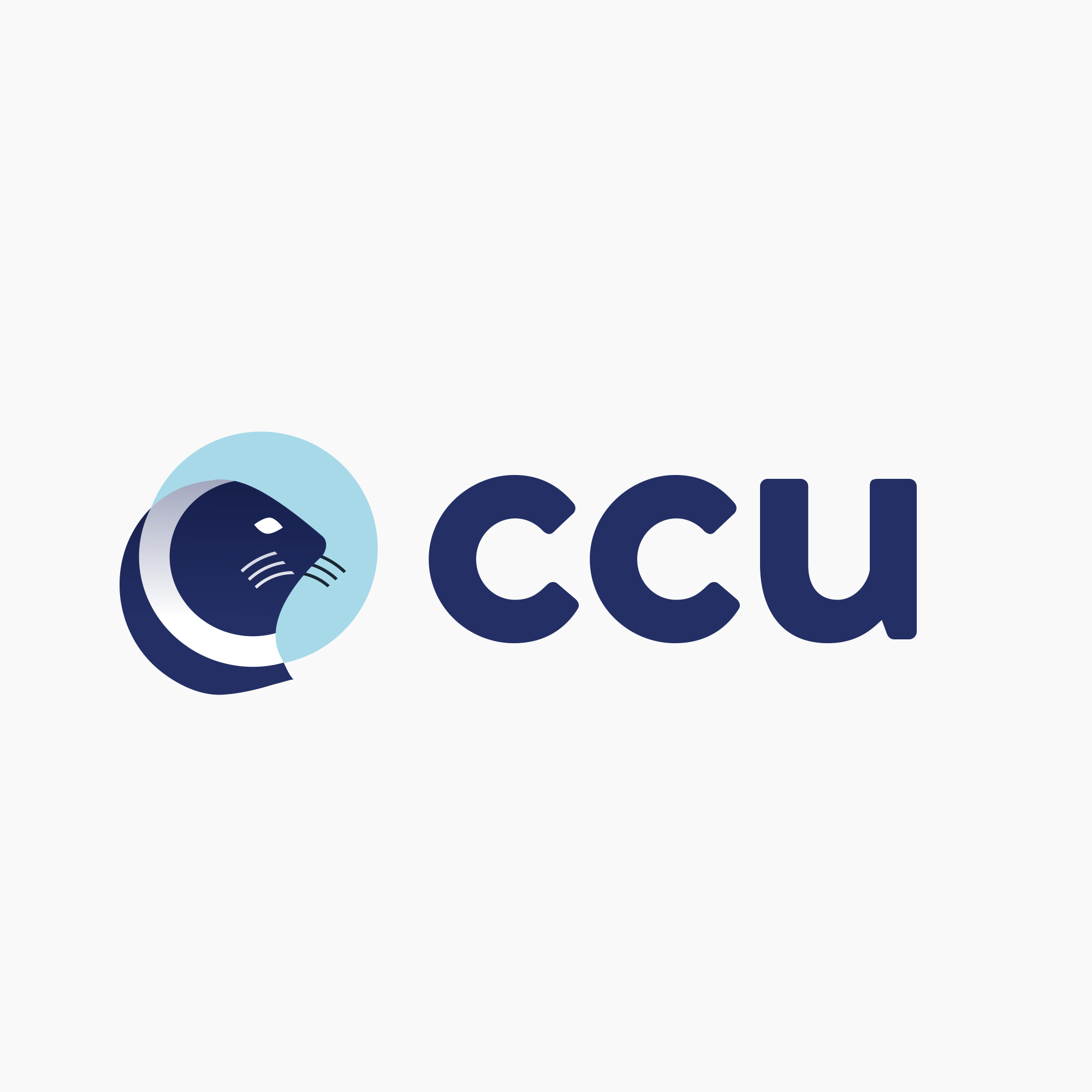 CCU.png