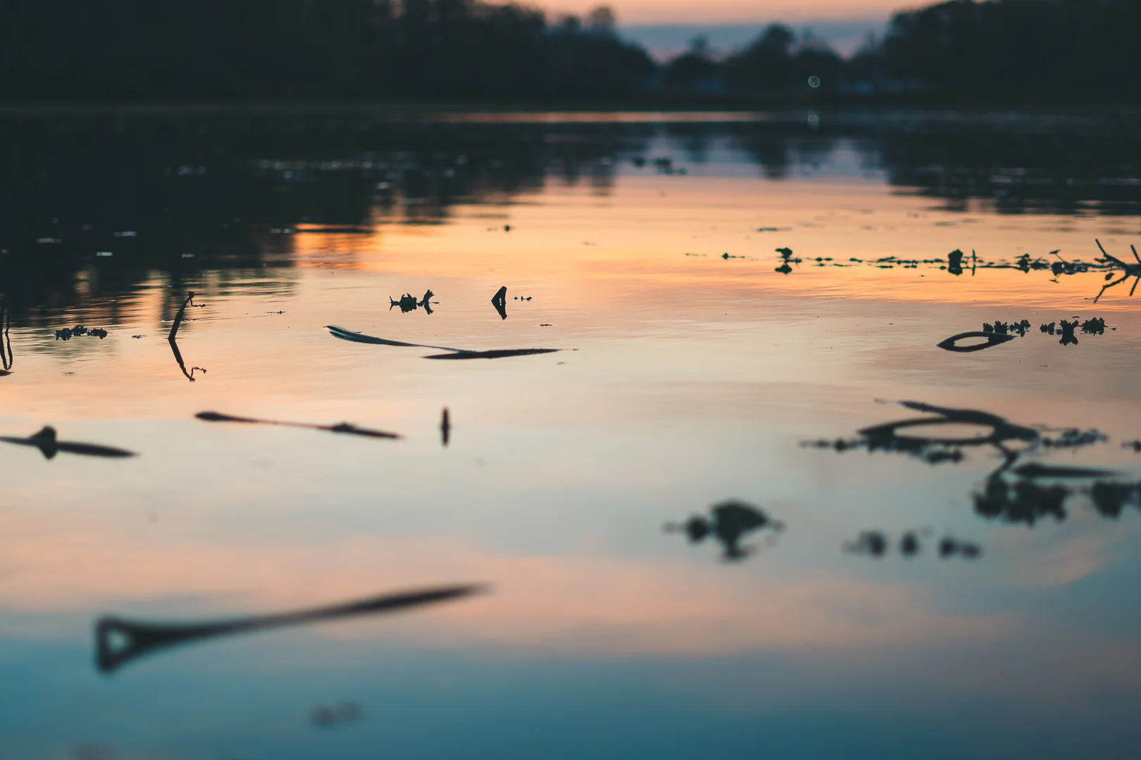 louisiana2018_vintage#2forIG-02266.jpg
