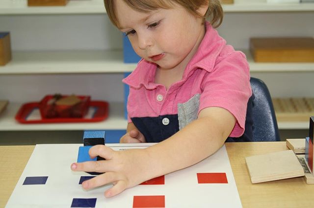 &quot;Education is not the filling of a bucket, but instead the lighting of a fire.&quot; -William Yeats  #education #toddlersofinstagram #montessorischool #renaissancemontessori #love