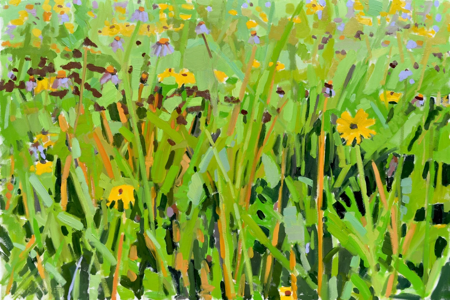 Wildflower Meadow III (Immersion)
