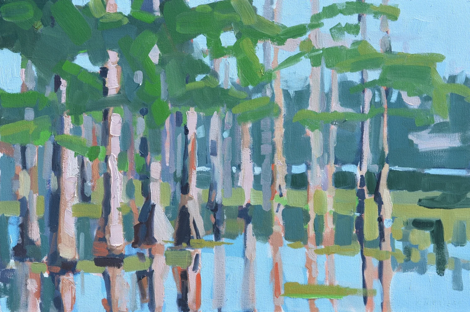 Cypress