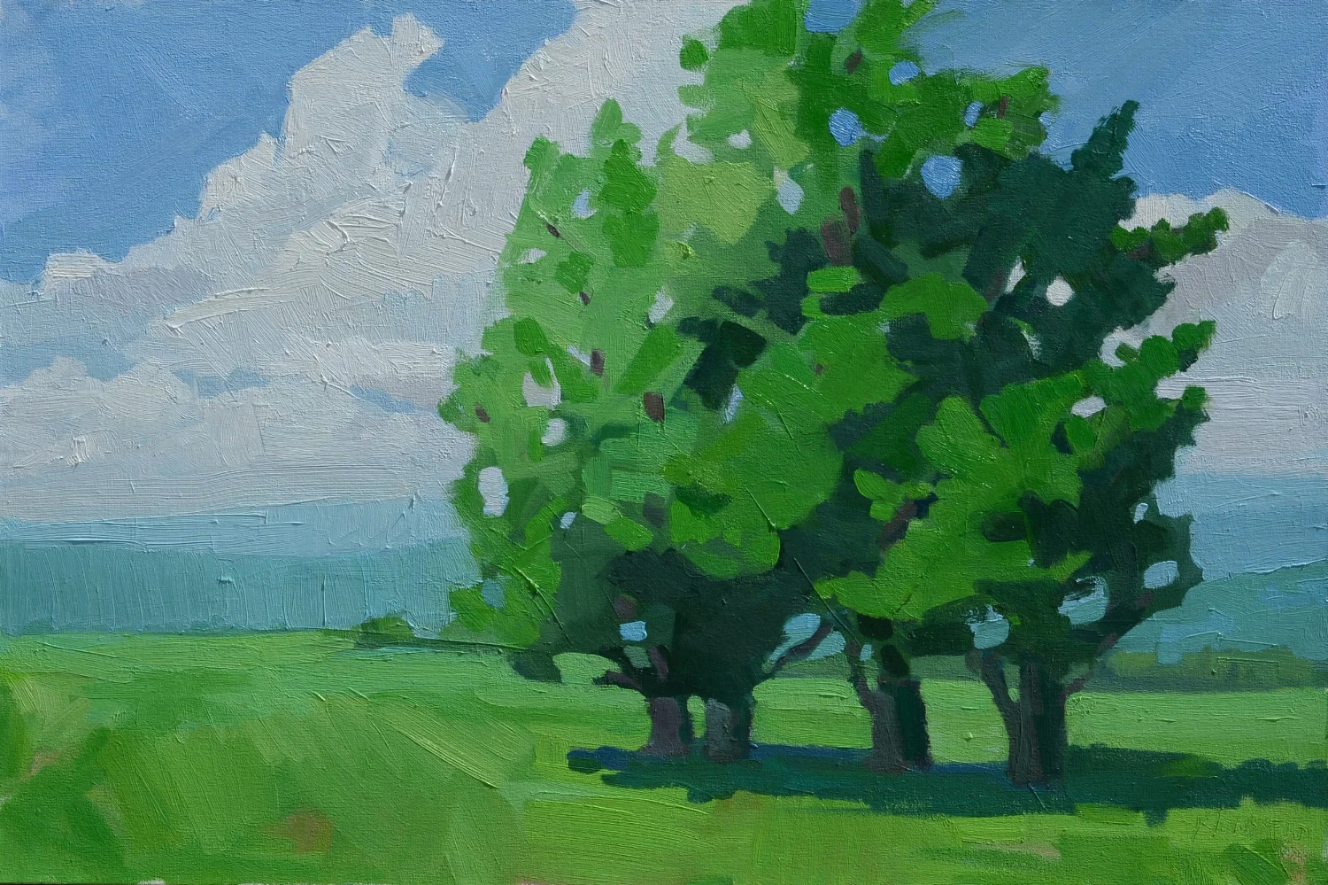 Summer Shade