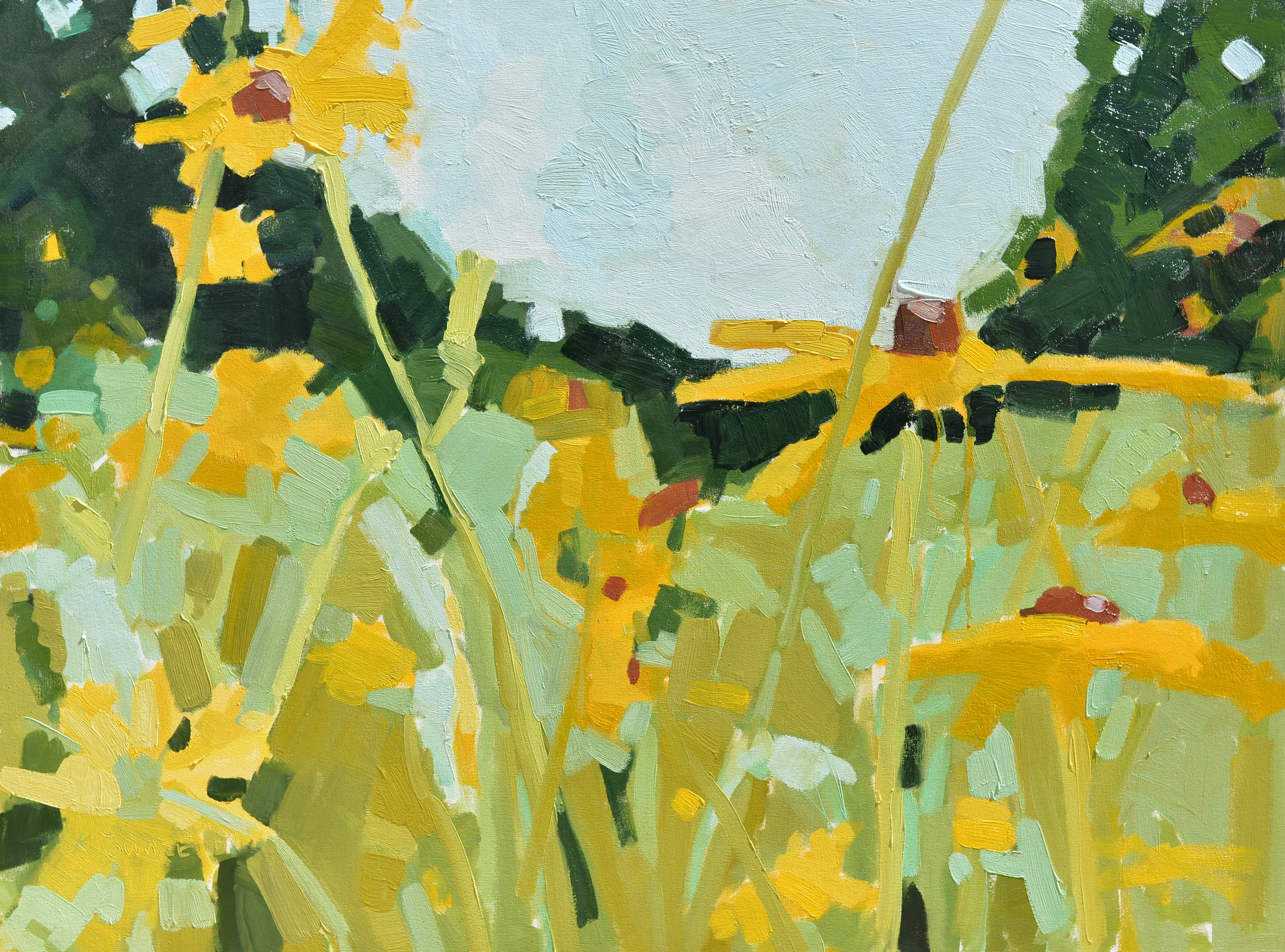 Wildflowers Up Close